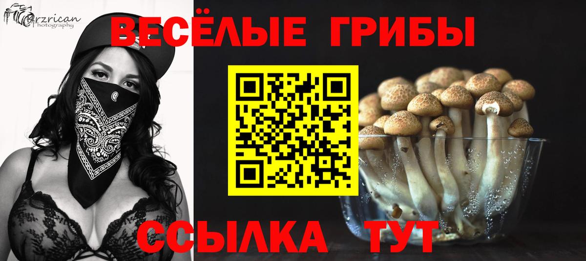 Псилоцибиновые грибы GOLDEN TEACHER Котельники