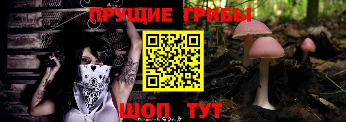 Котельники  Галлюциногенные грибы Psilocybe  Галлюциногенные грибы мицелий  Вход с VPN 